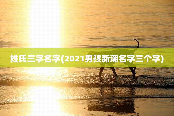 姓氏三字名字(2021男孩新潮名字三个字)
