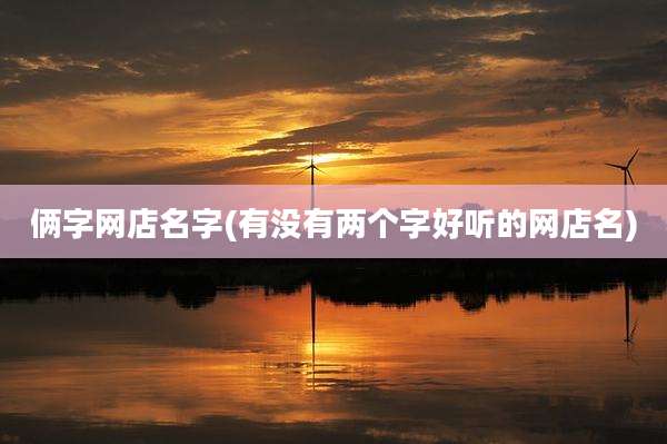 俩字网店名字(有没有两个字好听的网店名)