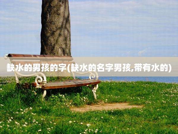 缺水的男孩的字(缺水的名字男孩,带有水的)