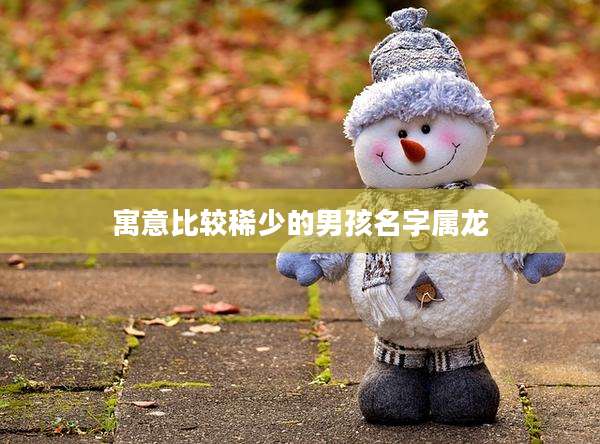 寓意比较稀少的男孩名字属龙