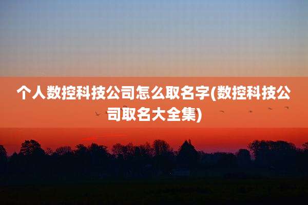 个人数控科技公司怎么取名字(数控科技公司取名大全集)