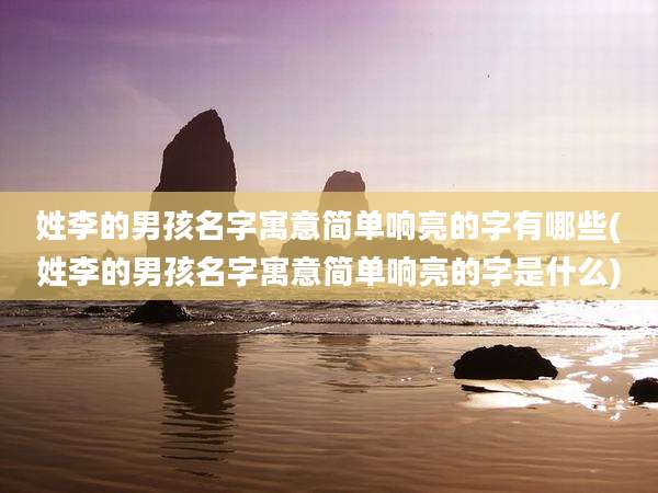 姓李的男孩名字寓意简单响亮的字有哪些(姓李的男孩名字寓意简单响亮的字是什么)