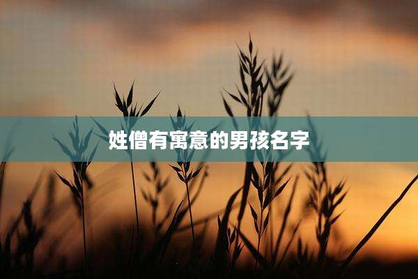 姓僧有寓意的男孩名字