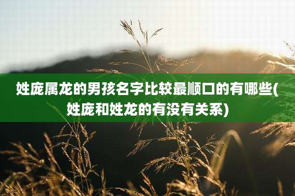 姓庞属龙的男孩名字比较最顺口的有哪些(姓庞和姓龙的有没有关系)