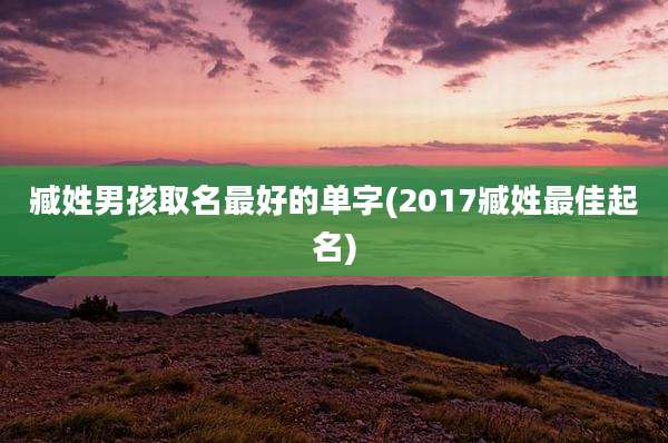 臧姓男孩取名最好的单字(2017臧姓最佳起名)