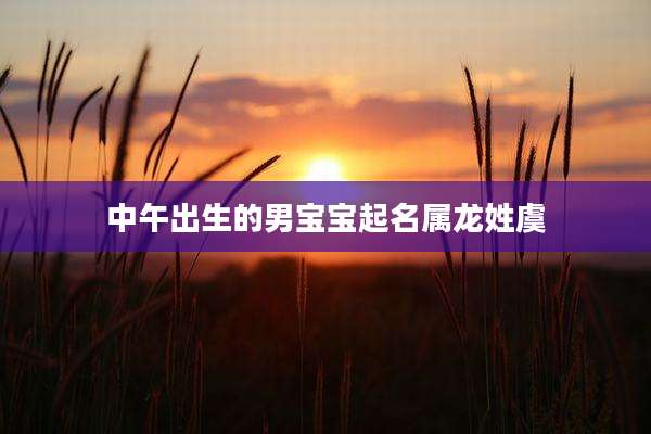 中午出生的男宝宝起名属龙姓虞