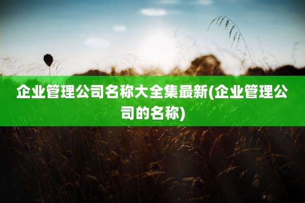 企业管理公司名称大全集最新(企业管理公司的名称)