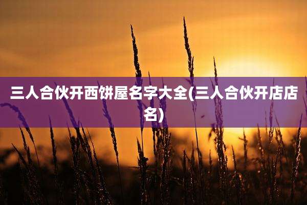 三人合伙开西饼屋名字大全(三人合伙开店店名)