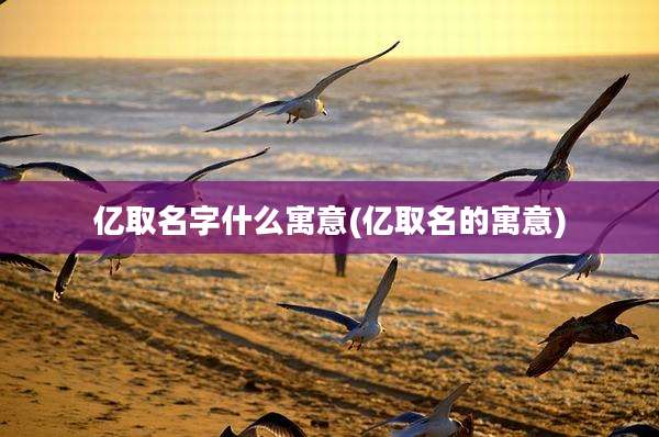 亿取名字什么寓意(亿取名的寓意)