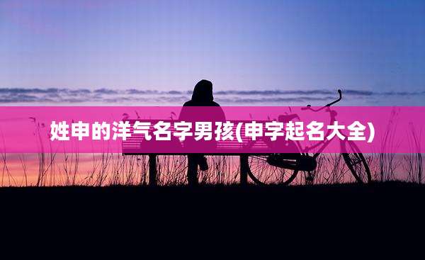 姓申的洋气名字男孩(申字起名大全)