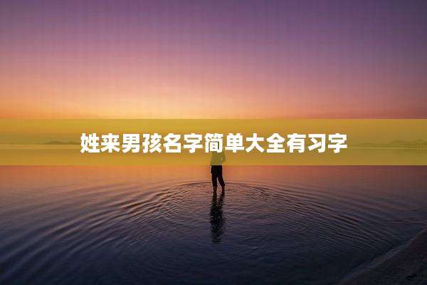 姓来男孩名字简单大全有习字