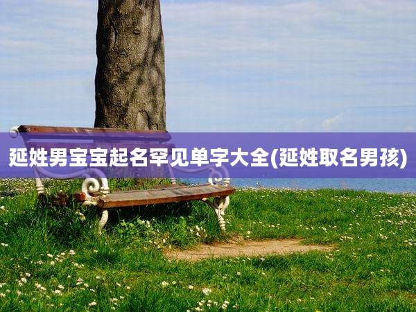 延姓男宝宝起名罕见单字大全(延姓取名男孩)