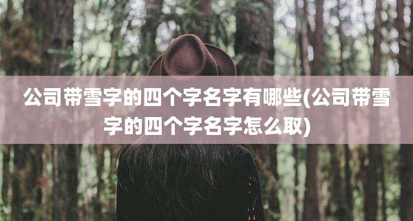 公司带雪字的四个字名字有哪些(公司带雪字的四个字名字怎么取)
