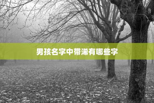 男孩名字中带浠有哪些字