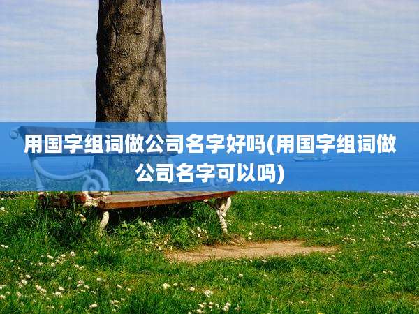 用国字组词做公司名字好吗(用国字组词做公司名字可以吗)