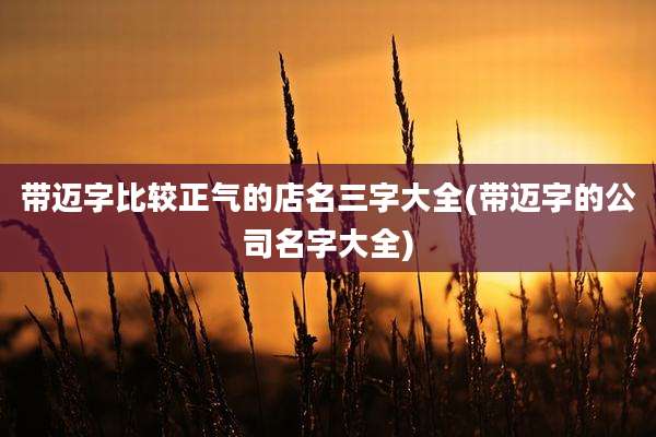 带迈字比较正气的店名三字大全(带迈字的公司名字大全)