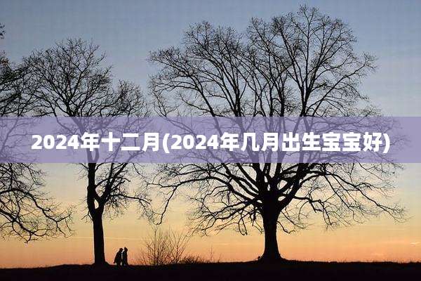 2024年十二月(2024年几月出生宝宝好)