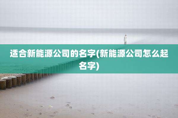 适合新能源公司的名字(新能源公司怎么起名字)