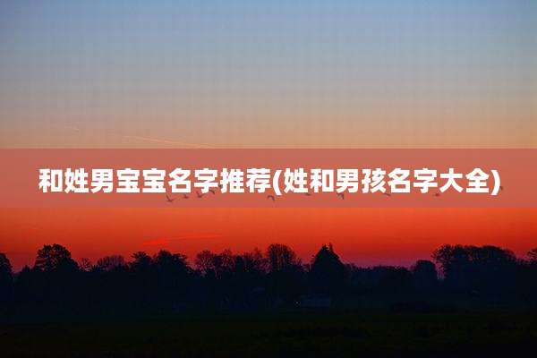 和姓男宝宝名字推荐(姓和男孩名字大全)