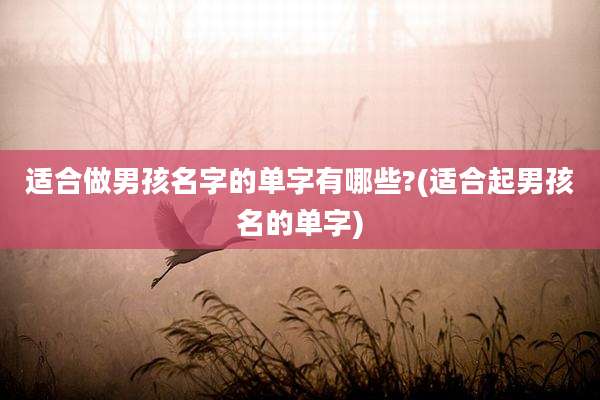 适合做男孩名字的单字有哪些?(适合起男孩名的单字)