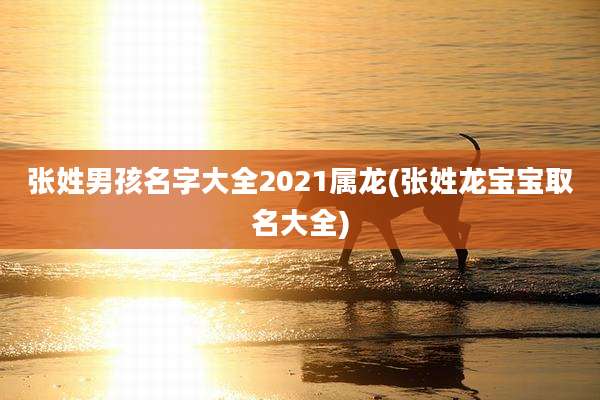 张姓男孩名字大全2021属龙(张姓龙宝宝取名大全)