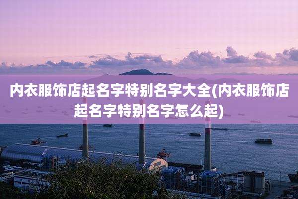 内衣服饰店起名字特别名字大全(内衣服饰店起名字特别名字怎么起)