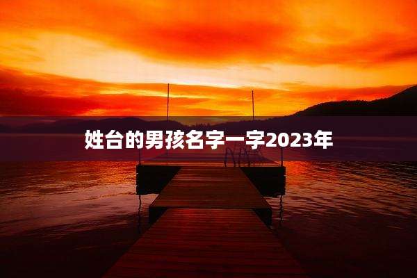 姓台的男孩名字一字2023年