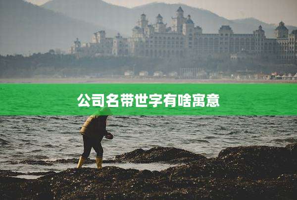 公司名带世字有啥寓意