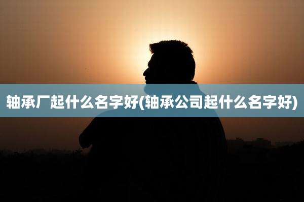 轴承厂起什么名字好(轴承公司起什么名字好)