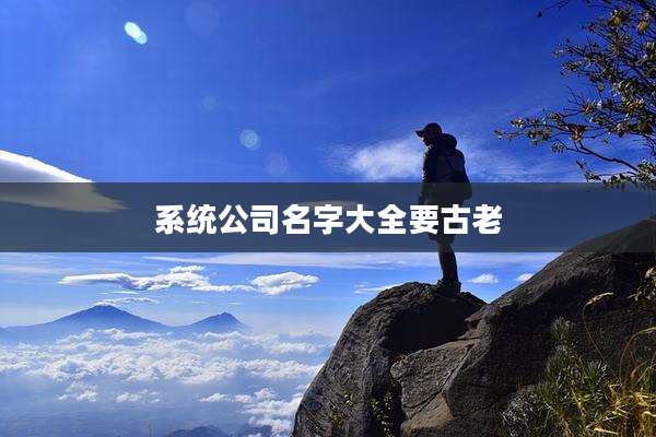系统公司名字大全要古老