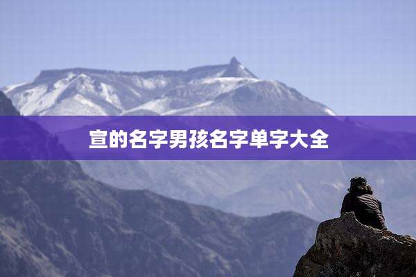宣的名字男孩名字单字大全