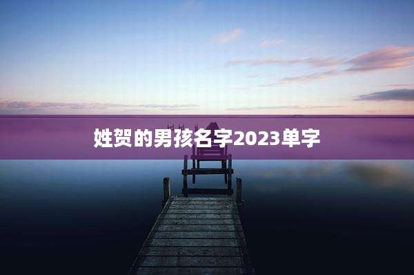 姓贺的男孩名字2023单字