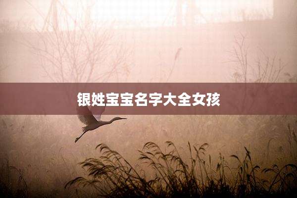 银姓宝宝名字大全女孩