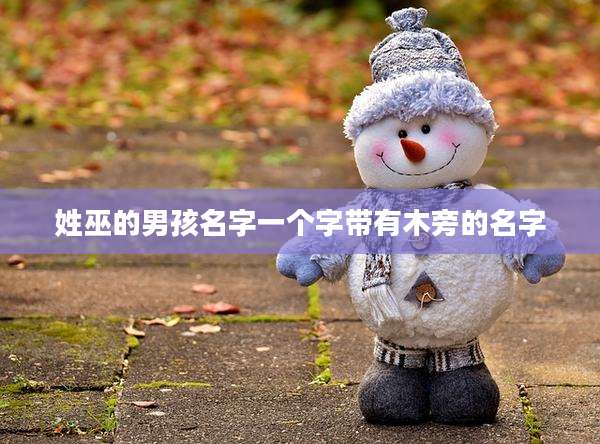 姓巫的男孩名字一个字带有木旁的名字