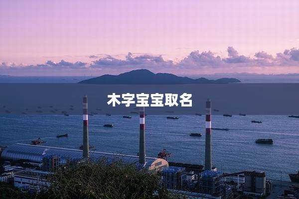 木字宝宝取名