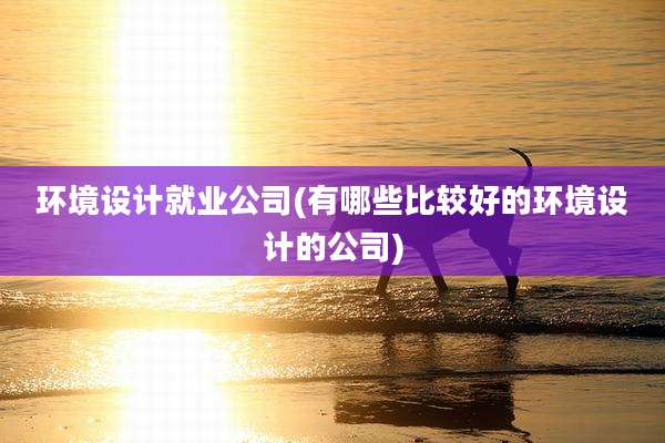 环境设计就业公司(有哪些比较好的环境设计的公司)