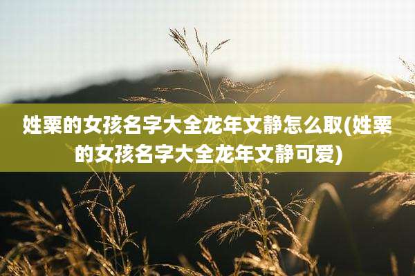 姓粟的女孩名字大全龙年文静怎么取(姓粟的女孩名字大全龙年文静可爱)