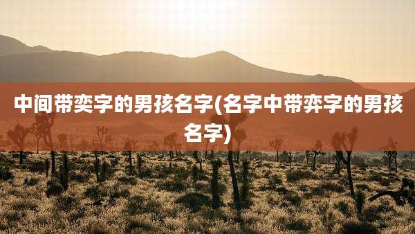 中间带奕字的男孩名字(名字中带弈字的男孩名字)