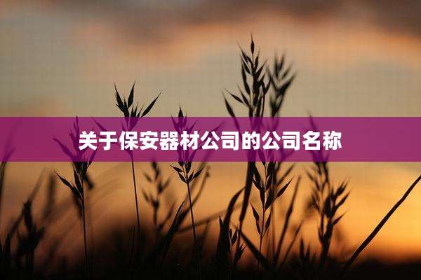 关于保安器材公司的公司名称