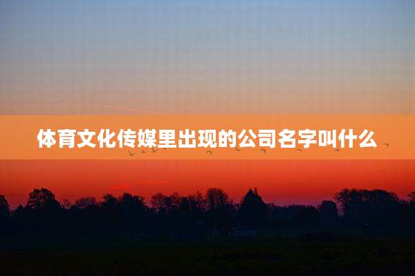 体育文化传媒里出现的公司名字叫什么
