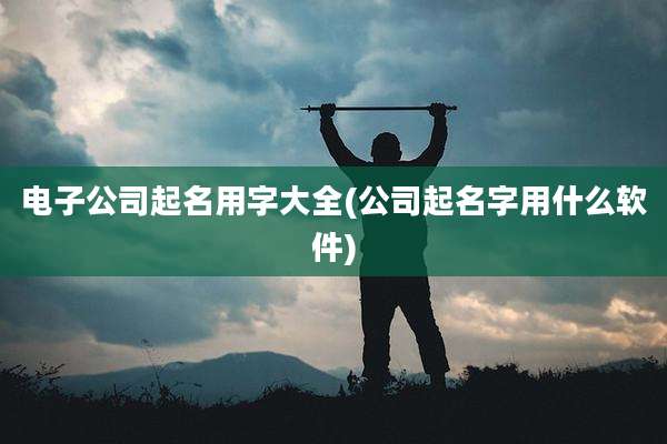 电子公司起名用字大全(公司起名字用什么软件)