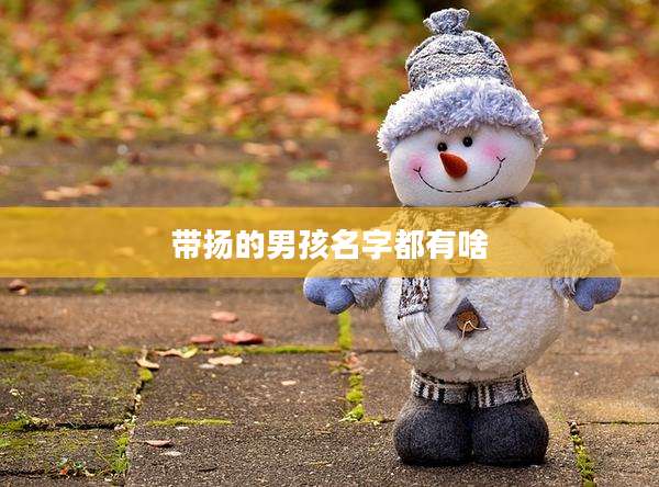 带扬的男孩名字都有啥