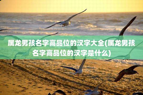 属龙男孩名字高品位的汉字大全(属龙男孩名字高品位的汉字是什么)