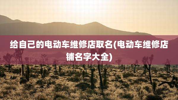 给自己的电动车维修店取名(电动车维修店铺名字大全)
