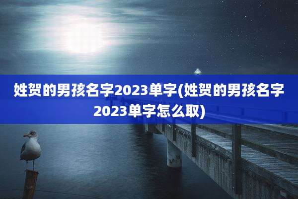 姓贺的男孩名字2023单字(姓贺的男孩名字2023单字怎么取)