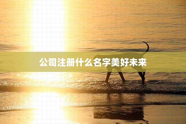 公司注册什么名字美好未来