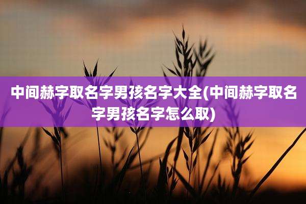 中间赫字取名字男孩名字大全(中间赫字取名字男孩名字怎么取)