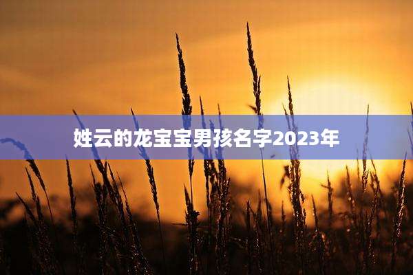 姓云的龙宝宝男孩名字2023年
