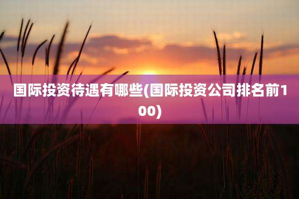国际投资待遇有哪些(国际投资公司排名前100)
