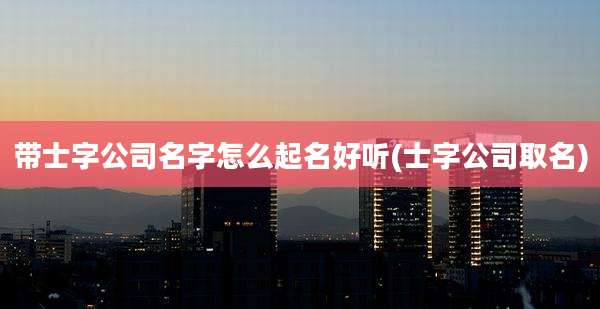 带士字公司名字怎么起名好听(士字公司取名)